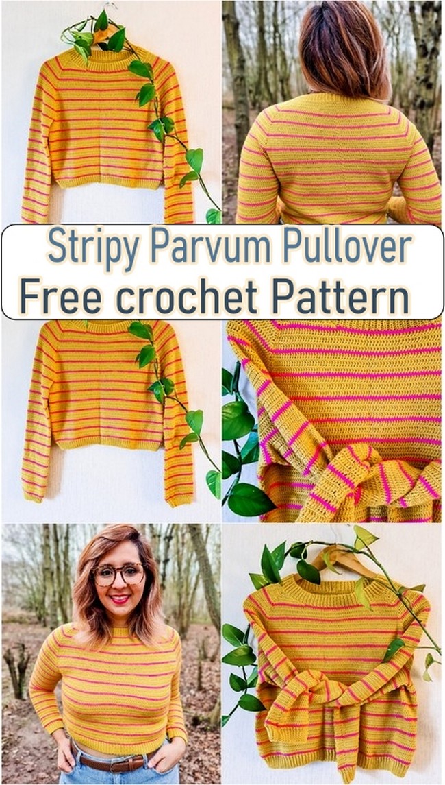  Stripy Parvum PulloverFree crochet Pattern 