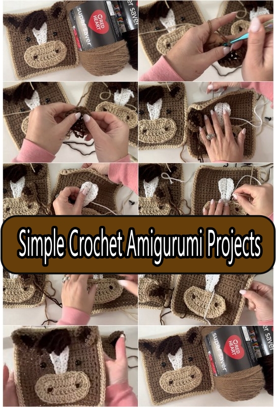 Simple Crochet Amigurumi Projects