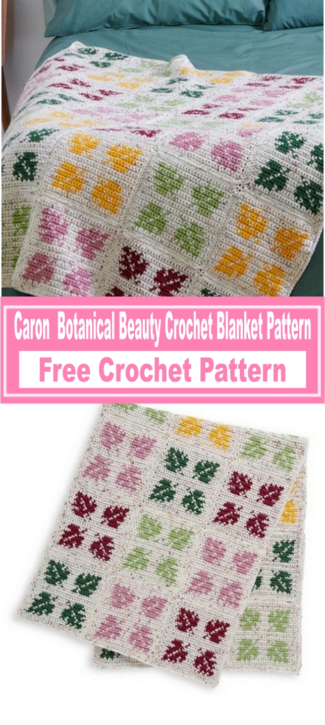 Caron Botanical Beauty Crochet Blanket Pattern