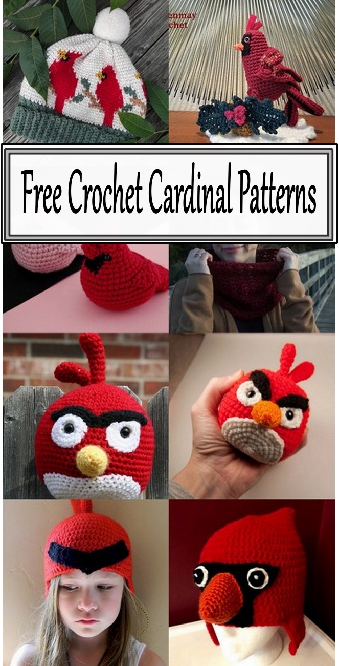  Free Cardinal Crochet Patterns 