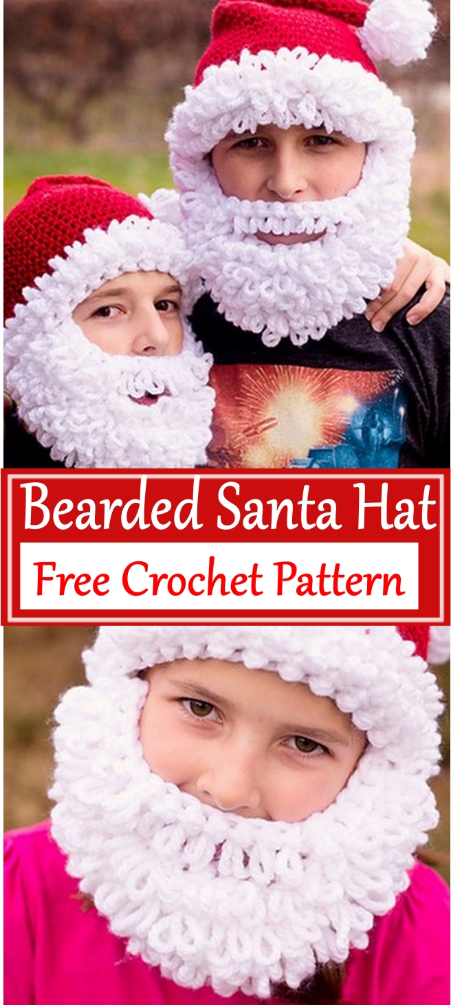 Bearded Santa Hat