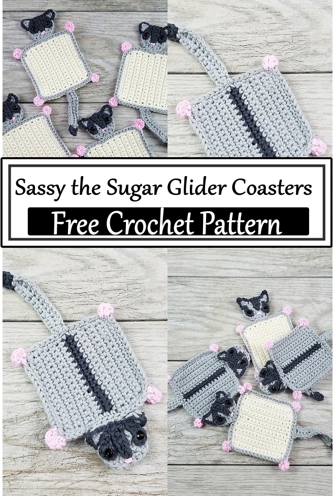Sassy the Sugar Glider Coasters