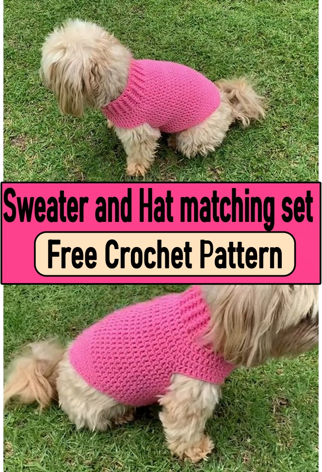  Sweater and Hat matching set