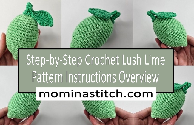 Step-by-Step Crochet Lush Lime Pattern Instructions Overview