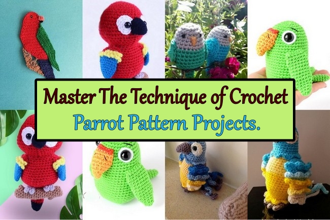 Master the technique of crochet parrot pattern projects.