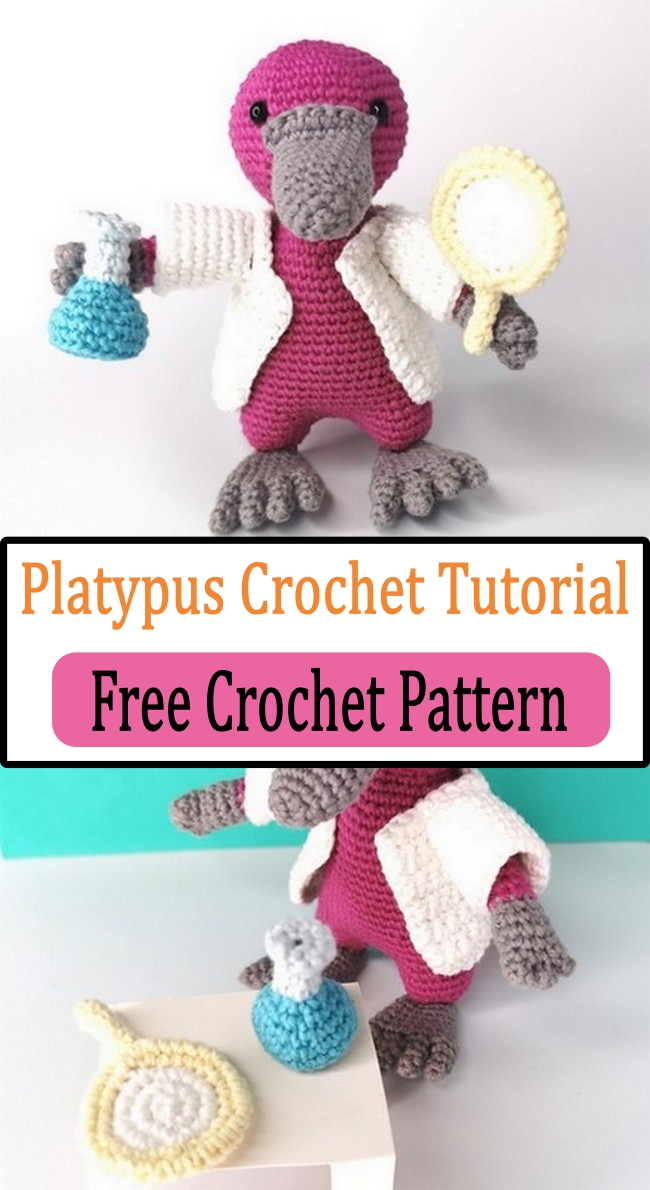 Platypus Crochet Tutorial