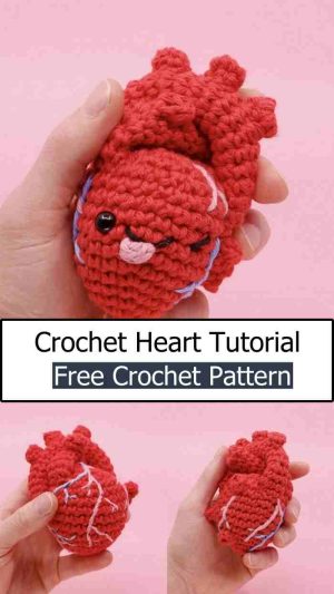 Crochet Realistic Heart