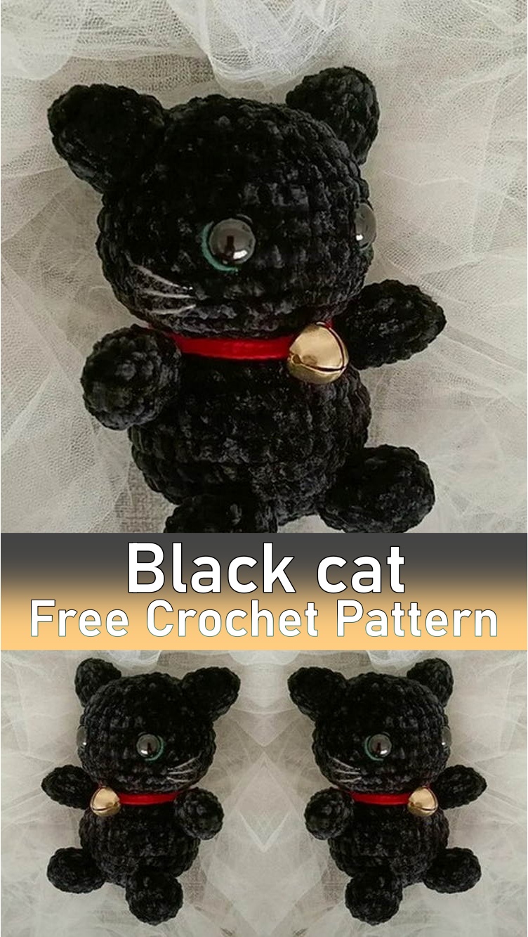 Black cat
