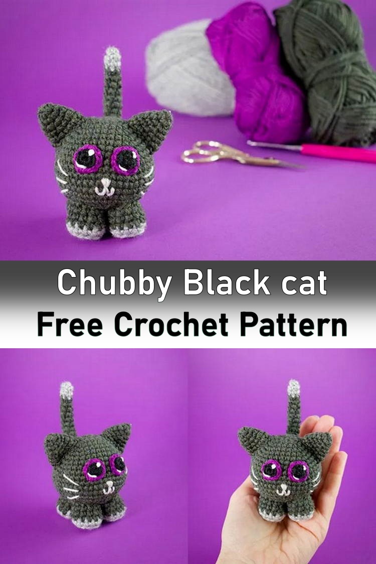Chubby Black cat