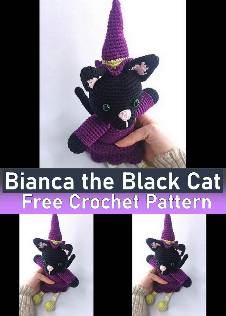 Bianca the Black Cat