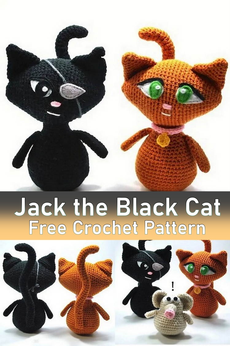 Jack the Black Cat