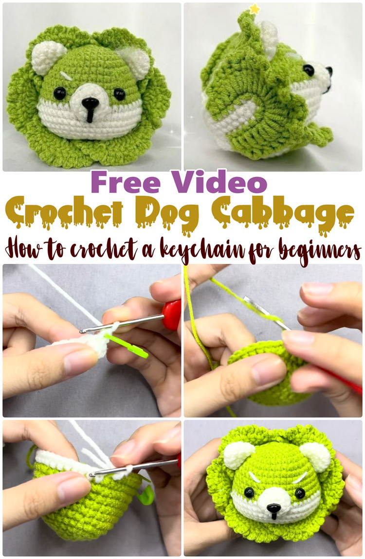 How to Crochet Dog Cabbage For Beginners