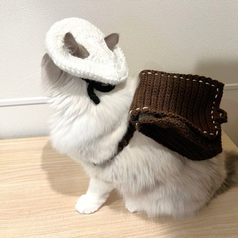 Kawaii Crochet Cat School Bag Free Pattern Beginner-Friendly