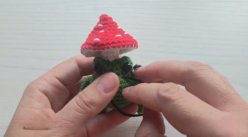 Finished crochet toad with red mushroom cap