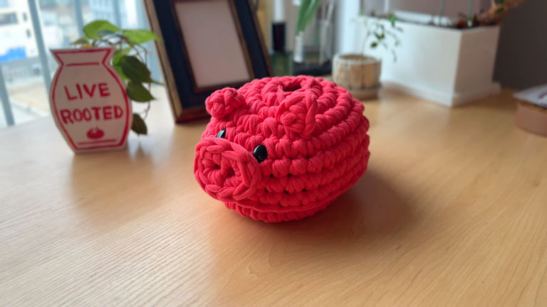 Pink Crochet Piggy Bank Amigurumi Pattern with coin slot